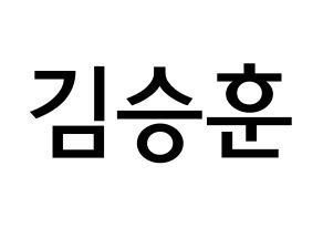 KPOP idol CIX  김승훈 (Kim Seung-hun, Seunghun) Printable Hangul name Fansign Fanboard resources for concert Normal
