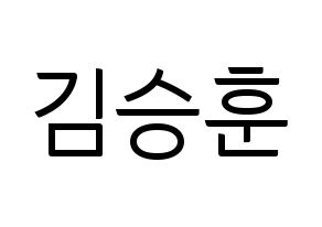 KPOP idol CIX  김승훈 (Kim Seung-hun, Seunghun) Printable Hangul name fan sign, fanboard resources for light sticks Normal