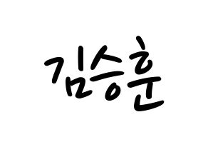 KPOP idol CIX  김승훈 (Kim Seung-hun, Seunghun) Printable Hangul name fan sign, fanboard resources for LED Normal