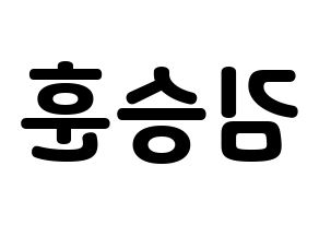 KPOP idol CIX  김승훈 (Kim Seung-hun, Seunghun) Printable Hangul name fan sign & fan board resources Reversed