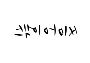 KPOP idol CIX Printable Hangul fan sign, concert board resources for light sticks Reversed