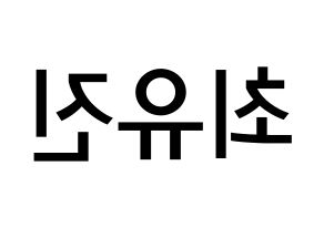 KPOP idol CLC  최유진 (Choi Yu-jin, Yujin) Printable Hangul name Fansign Fanboard resources for concert Reversed