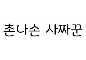KPOP idol CLC  Sorn (Chonnasorn Sajakul, Sorn) Printable Hangul name Fansign Fanboard resources for concert Normal