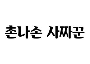 KPOP idol CLC  Sorn (Chonnasorn Sajakul, Sorn) Printable Hangul name fan sign, fanboard resources for light sticks Normal