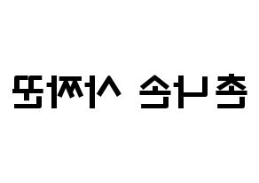 KPOP idol CLC  Sorn (Chonnasorn Sajakul, Sorn) Printable Hangul name fan sign & fan board resources Reversed