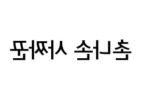 KPOP idol CLC  Sorn (Chonnasorn Sajakul, Sorn) Printable Hangul name Fansign Fanboard resources for concert Reversed