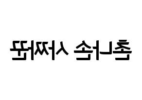 KPOP idol CLC  Sorn (Chonnasorn Sajakul, Sorn) Printable Hangul name fan sign, fanboard resources for concert Reversed