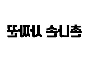 KPOP idol CLC  Sorn (Chonnasorn Sajakul, Sorn) Printable Hangul name fan sign, fanboard resources for light sticks Reversed