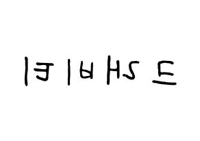 KPOP idol CRAVITY Printable Hangul fan sign, concert board resources for light sticks Reversed