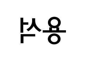 KPOP idol CROSS GENE  용석 (Kim Yong-seok, Yongseok) Printable Hangul name Fansign Fanboard resources for concert Reversed