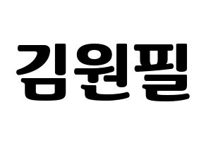 KPOP idol DAY6  원필 (Kim Won-pil, Wonpil) Printable Hangul name fan sign, fanboard resources for light sticks Normal