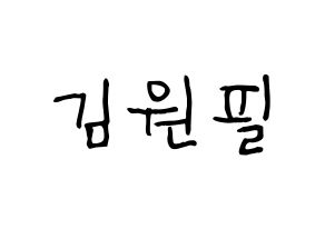 KPOP idol DAY6  원필 (Kim Won-pil, Wonpil) Printable Hangul name fan sign, fanboard resources for light sticks Normal
