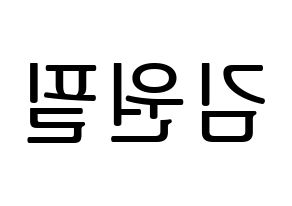 KPOP idol DAY6  원필 (Kim Won-pil, Wonpil) Printable Hangul name fan sign, fanboard resources for LED Reversed