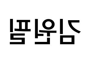 KPOP idol DAY6  원필 (Kim Won-pil, Wonpil) Printable Hangul name Fansign Fanboard resources for concert Reversed