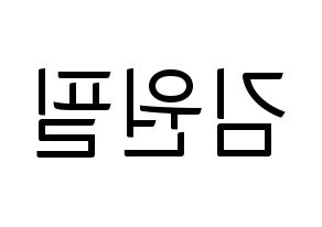 KPOP idol DAY6  원필 (Kim Won-pil, Wonpil) Printable Hangul name fan sign, fanboard resources for light sticks Reversed