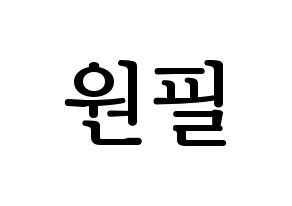 KPOP idol DAY6  원필 (Kim Won-pil, Wonpil) Printable Hangul name fan sign, fanboard resources for LED Normal