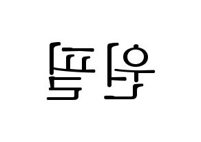 KPOP idol DAY6  원필 (Kim Won-pil, Wonpil) Printable Hangul name fan sign & fan board resources Reversed
