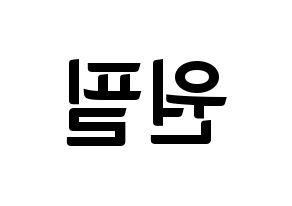 KPOP idol DAY6  원필 (Kim Won-pil, Wonpil) Printable Hangul name fan sign, fanboard resources for concert Reversed