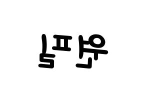 KPOP idol DAY6  원필 (Kim Won-pil, Wonpil) Printable Hangul name fan sign, fanboard resources for light sticks Reversed