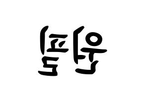 KPOP idol DAY6  원필 (Kim Won-pil, Wonpil) Printable Hangul name fan sign, fanboard resources for concert Reversed