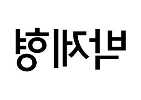 KPOP idol DAY6  Jae (Park Jae-hyung, Jae) Printable Hangul name Fansign Fanboard resources for concert Reversed