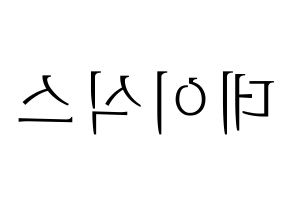 KPOP idol DAY6 Printable Hangul fan sign & concert board resources Reversed