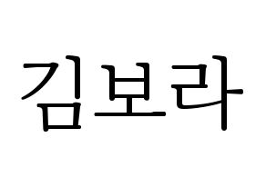 KPOP idol Dreamcatcher  수아 (Kim Bo-ra, SuA) Printable Hangul name fan sign & fan board resources Normal