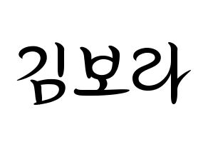 KPOP idol Dreamcatcher  수아 (Kim Bo-ra, SuA) Printable Hangul name fan sign, fanboard resources for concert Normal