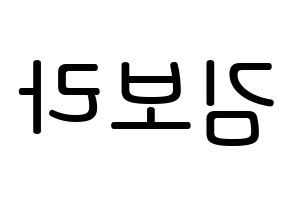 KPOP idol Dreamcatcher  수아 (Kim Bo-ra, SuA) Printable Hangul name Fansign Fanboard resources for concert Reversed