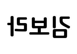 KPOP idol Dreamcatcher  수아 (Kim Bo-ra, SuA) Printable Hangul name fan sign, fanboard resources for concert Reversed
