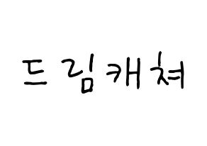 KPOP idol Dreamcatcher Printable Hangul fan sign, concert board resources for light sticks Normal