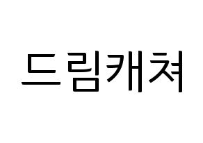 KPOP idol Dreamcatcher Printable Hangul fan sign, fanboard resources for light sticks Normal