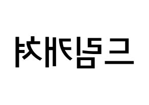 KPOP idol Dreamcatcher Printable Hangul Fansign Fanboard resources Reversed