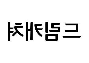 KPOP idol Dreamcatcher Printable Hangul fan sign & fan board resources Reversed