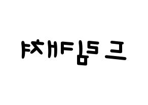 KPOP idol Dreamcatcher Printable Hangul Fansign concert board resources Reversed