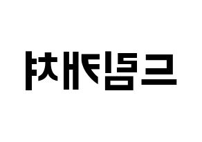 KPOP idol Dreamcatcher Printable Hangul fan sign & fan board resources Reversed