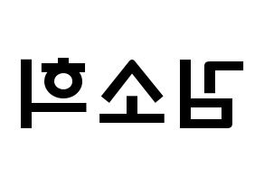 KPOP idol ELRIS  소희 (Kim So-hee, Sohee) Printable Hangul name fan sign & fan board resources Reversed
