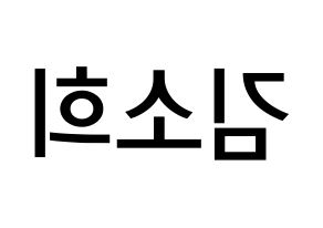 KPOP idol ELRIS  소희 (Kim So-hee, Sohee) Printable Hangul name Fansign Fanboard resources for concert Reversed