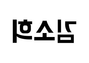 KPOP idol ELRIS  소희 (Kim So-hee, Sohee) Printable Hangul name fan sign, fanboard resources for concert Reversed