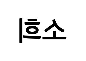 KPOP idol ELRIS  소희 (Kim So-hee, Sohee) Printable Hangul name fan sign, fanboard resources for concert Reversed