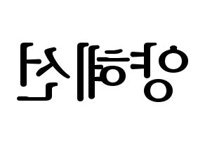 KPOP idol ELRIS  혜성 (Yang Hye-seong, Hyeseong) Printable Hangul name fan sign, fanboard resources for LED Reversed
