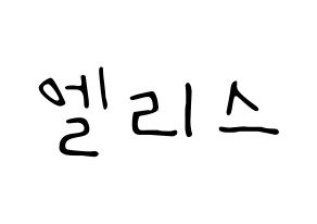 KPOP idol ELRIS Printable Hangul fan sign, concert board resources for LED Normal