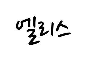 KPOP idol ELRIS Printable Hangul fan sign, concert board resources for LED Normal