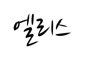 KPOP idol ELRIS Printable Hangul fan sign, concert board resources for light sticks Normal