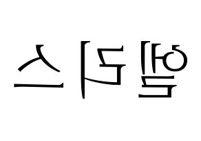 KPOP idol ELRIS Printable Hangul fan sign & concert board resources Reversed