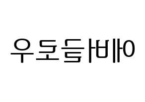 KPOP idol Everglow Printable Hangul fan sign, fanboard resources for LED Reversed