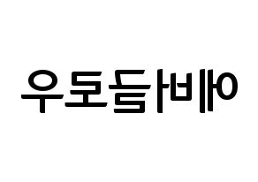 KPOP idol Everglow Printable Hangul fan sign & fan board resources Reversed