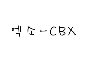KPOP idol EXO-CBX Printable Hangul Fansign Fanboard resources Normal