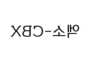 KPOP idol EXO-CBX Printable Hangul fan sign, fanboard resources for LED Reversed