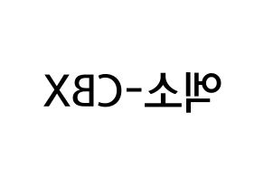 KPOP idol EXO-CBX Printable Hangul Fansign Fanboard resources Reversed